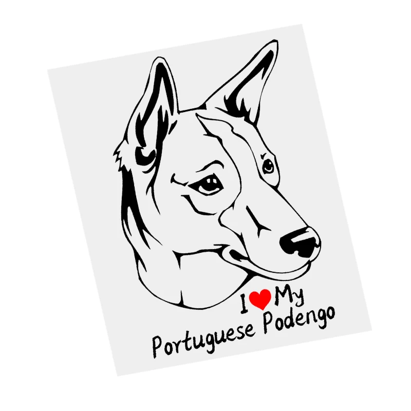 S61228 # Portekizce Podengo Köpek Siyah Şeffaf Araba Sticker Vinil Çıkartması Su Geçirmez Dekorları Motosiklet Tampon Dizüstü