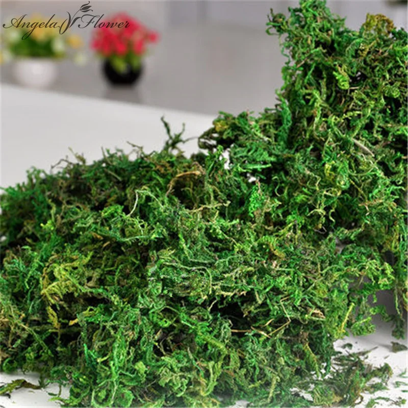 100 g/torba Doğa kuru gerçek yeşil yosun Bitkiler dekoratif saksı suni çim ipek çiçek aksesuarları Bonsai dekorasyon için