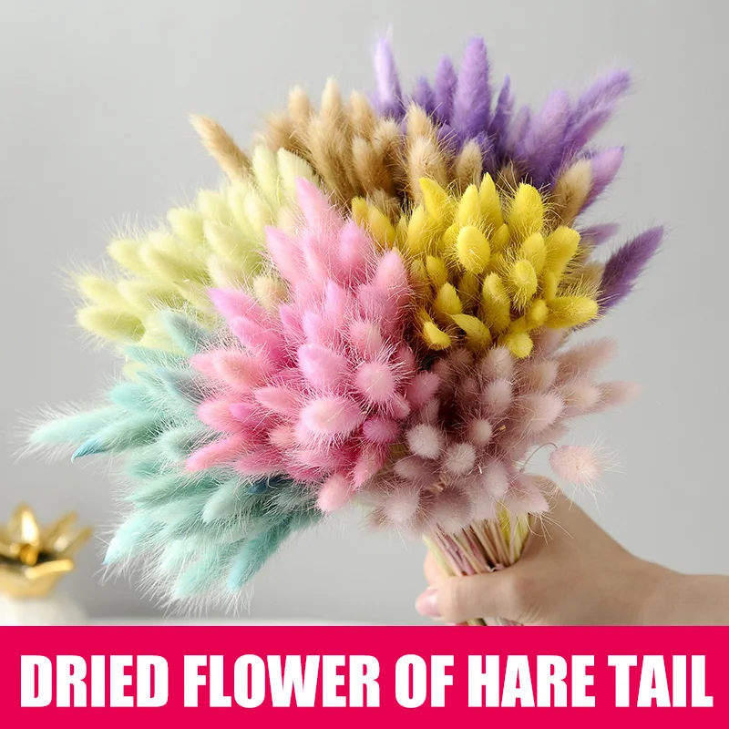 50 Adet Kurutulmuş Çiçek Çim Dekorasyon Fotoğraf Sahne Ev Mağaza Düğün süslemeleri Renkli INS