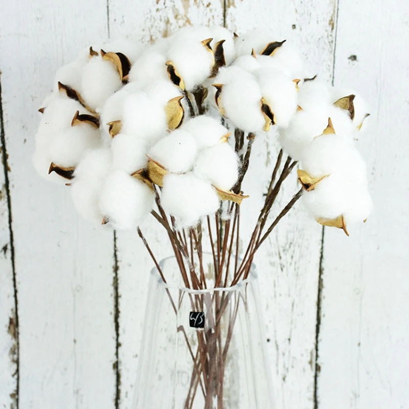 Doğal Kurutulmuş Pamuk Çiçek Beyaz Ev Dekorasyon yapay çiçek Şube Düğün Nedime Buket Dekor Sahte Beyaz Çiçekler