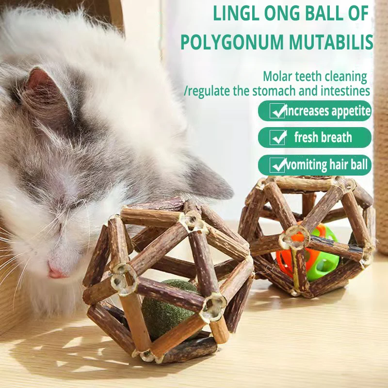 Catnip Topu İnteraktif Oyuncak catnip kedi temiz diş oyuncaklar Sağlıklı Catnip Doğal Ahşap Molar Çiğnemek Sopa Yavru Pet malzemeleri