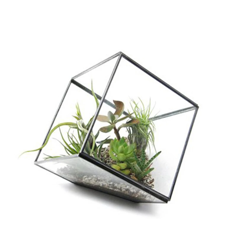 Küp Şekli Bitki Lehim Cam Teraryum Kiti Yaratıcı Çiçek Vazo Cam Saksı Ev Bahçe Düğün dekorasyon İçin