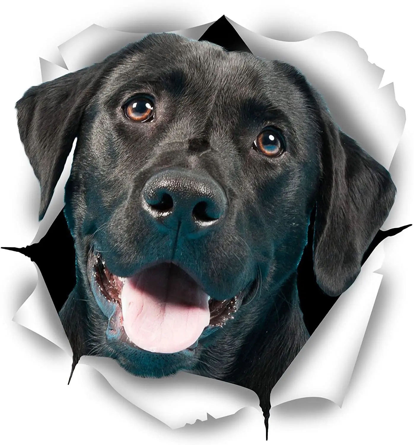 Dawasaru Sevimli Siyah Labrador,*12cm Yırtık Metal Araba Sticker su Geçirmez Çıkartma Laptop Bavul Motosiklet Oto Aksesuarları PVC 9cm
