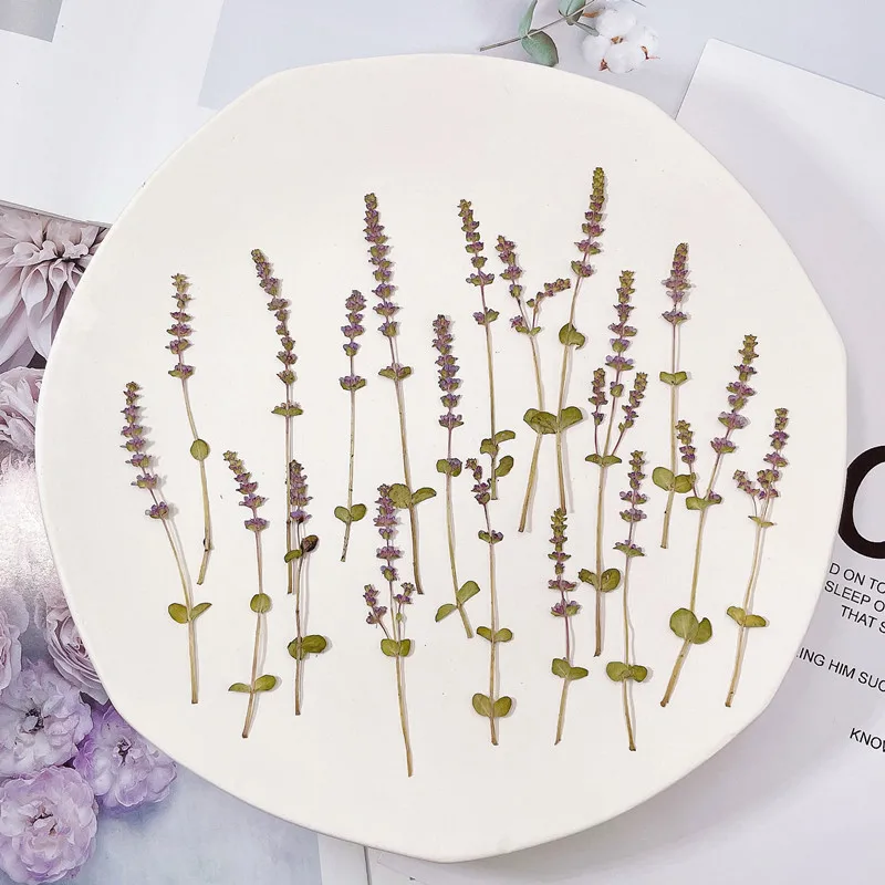 60 adet Preslenmiş Kurutulmuş Çiçek Rotala endeksleri Herbaryum Epoksi Reçine Takı Yapımı İçin Makyaj Yüz İmi Nail Art Craft DIY